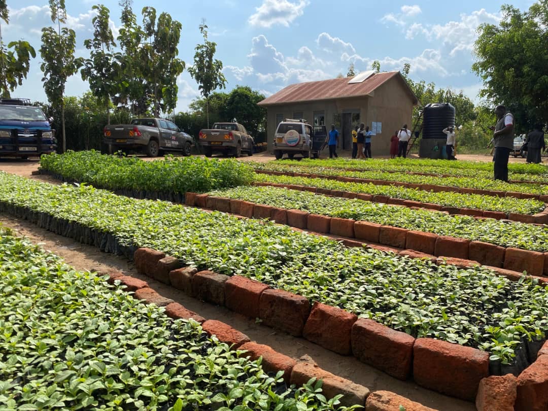 TASLL Project Supports Agribusinesses in Rural Northern Uganda
