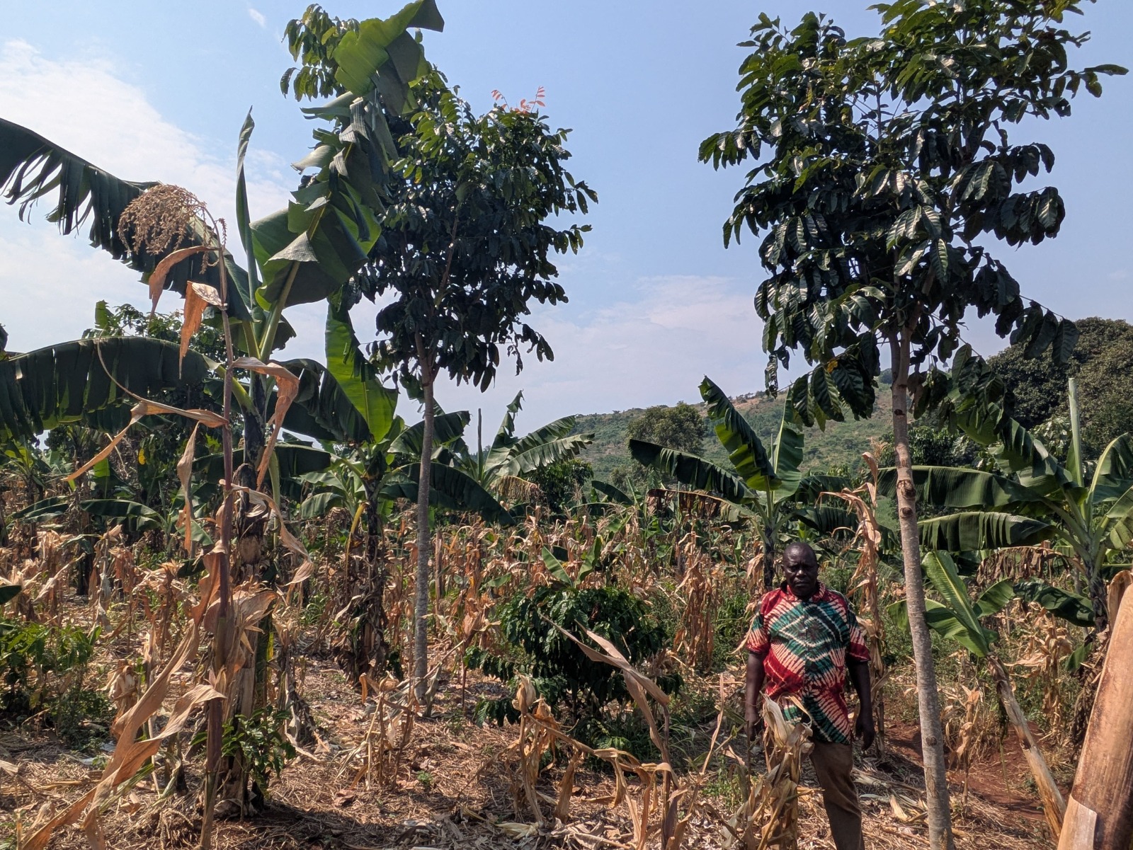 My Journey in Farming with ECOTRUST
