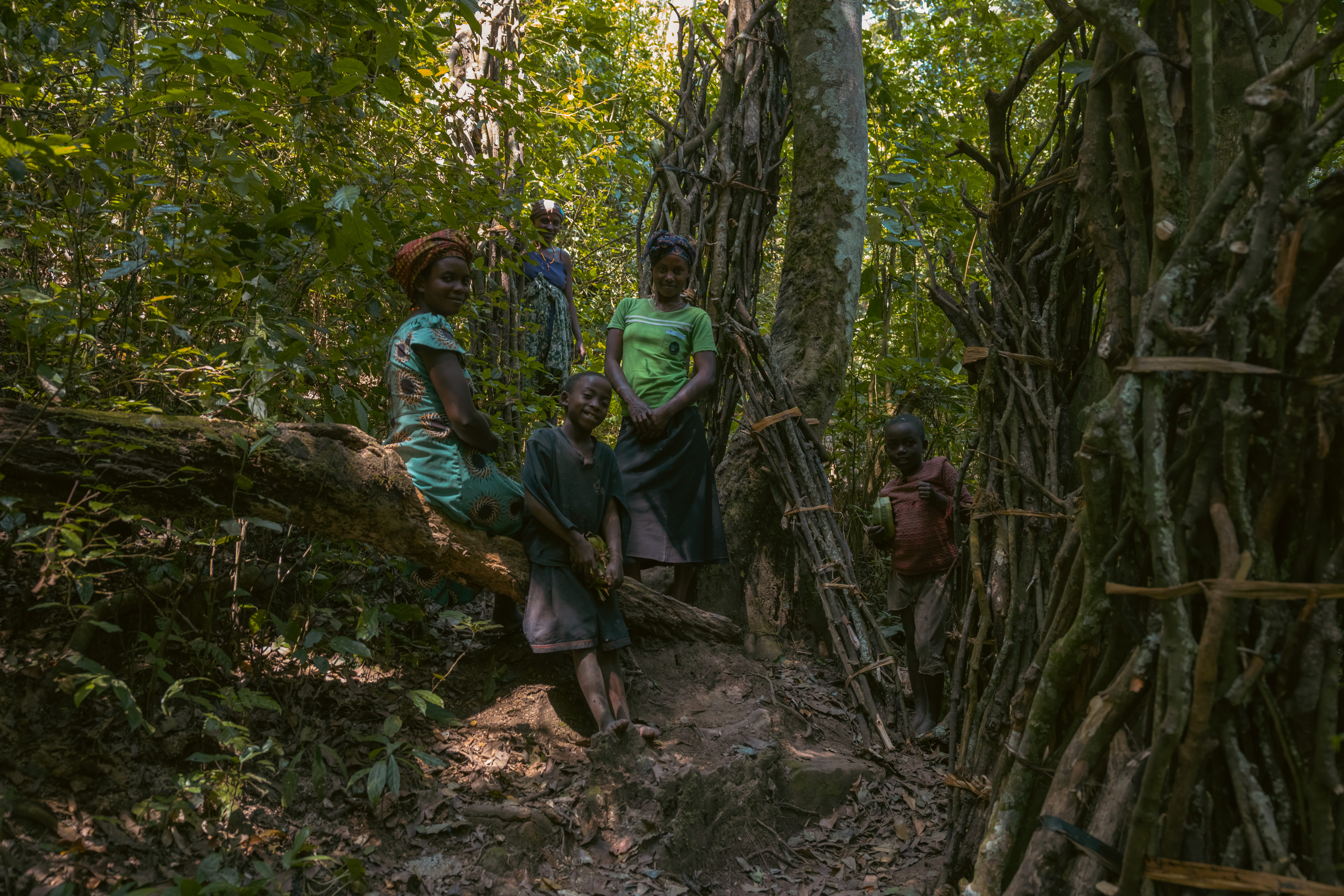 How Ugandan Communities Are Turning Trees into Livelihoods